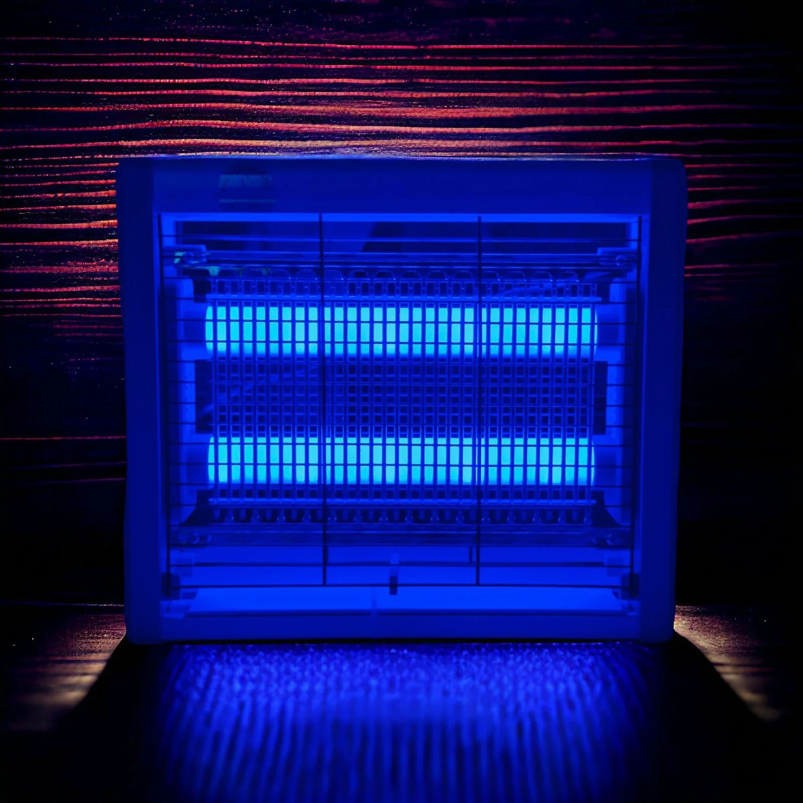 Sky Bird Insect Killer 8W - Image 3