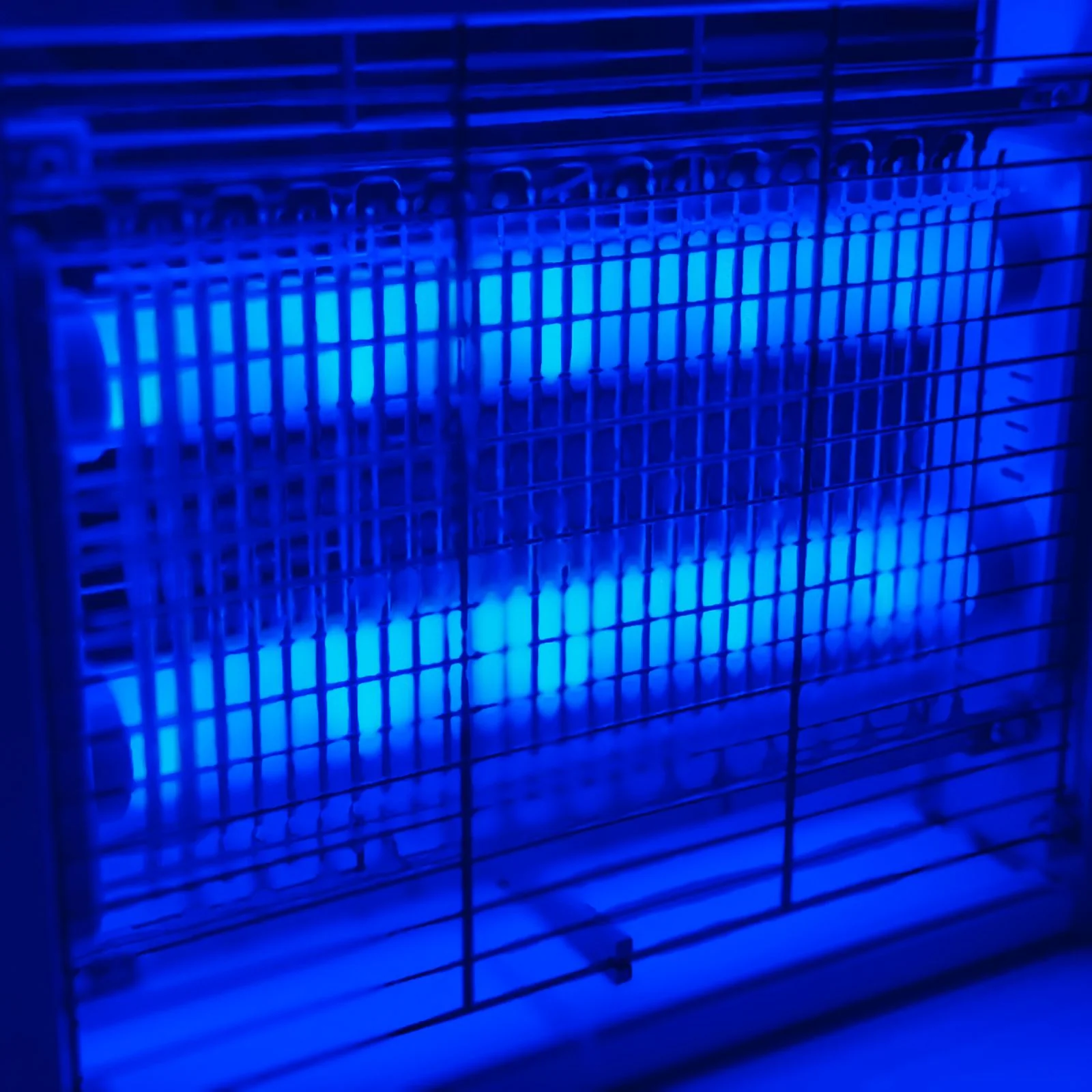 Sky Bird Insect Killer 8W - Image 4